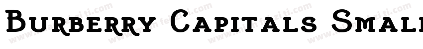 Burberry Capitals Small Regular字体转换